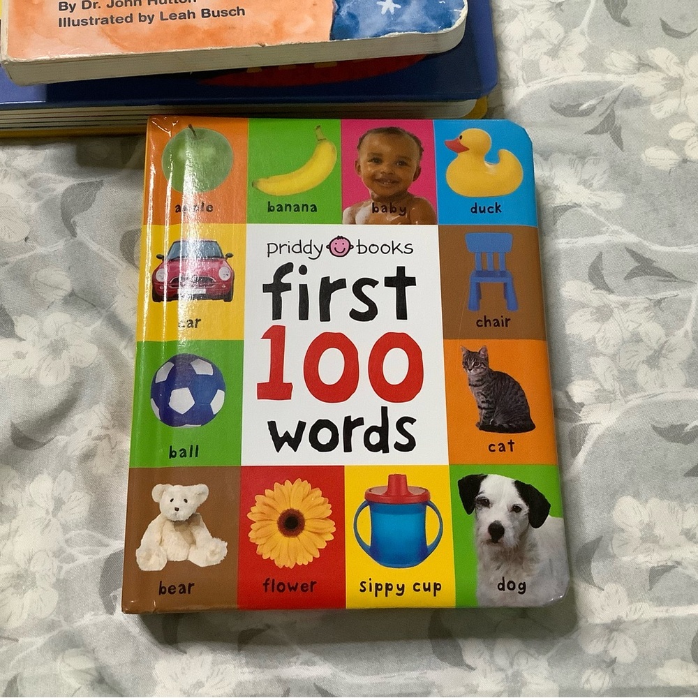 First 100 Words - Colorful Early Learning Board Book